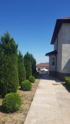 Продаж двох будинків на Сонячному фото 11 Продаж двох будинків на Сонячному фото 11