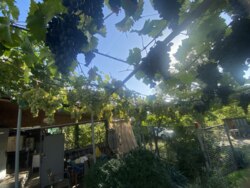 Затишний двоповерховий будинок у Запоріжжі, Дніпровський район! фото 12 Затишний двоповерховий будинок у Запоріжжі, Дніпровський район! фото 12