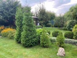 Продається будинок Запорізька, Запоріжжя, Хортицький, Солов'їний гай фото 3 Продається будинок Запорізька, Запоріжжя, Хортицький, Солов'їний гай фото 3