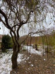 Добротний будинок на березі Льовшинської затоки фото 30 Добротний будинок на березі Льовшинської затоки фото 30