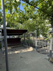 Продаж будинку, Олександрівський район фото 6 Продаж будинку, Олександрівський район фото 6