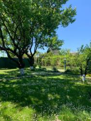 Дачний будинок. Відмінна локація. 100 метрів до Дніпра фото 9 Дачний будинок. Відмінна локація. 100 метрів до Дніпра фото 9