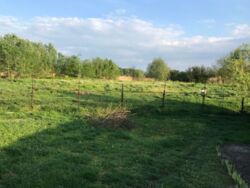 Затишний будинок в Нижній Хортиці фото 9 Затишний будинок в Нижній Хортиці фото 9