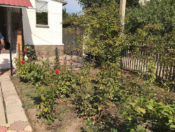 Продається будинок Запоріжжя, Запорізька, Дніпровський фото 3 Продається будинок Запоріжжя, Запорізька, Дніпровський фото 3