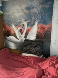 Продаж будинку в селі Розумівка фото 13 Продаж будинку в селі Розумівка фото 13