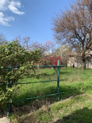 ������� �� ʳ���� ���� 38