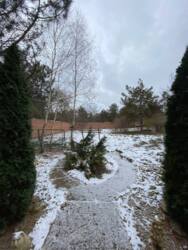 Добротний будинок на березі Льовшинської затоки фото 31 Добротний будинок на березі Льовшинської затоки фото 31