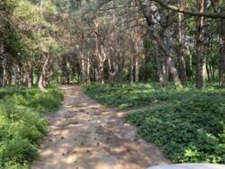 Продається будинок Запорізька, Запоріжжя, Дніпровський, Мурманская фото 8 Продається будинок Запорізька, Запоріжжя, Дніпровський, Мурманская фото 8