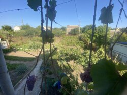 Затишний двоповерховий будинок у Запоріжжі, Дніпровський район! фото 13 Затишний двоповерховий будинок у Запоріжжі, Дніпровський район! фото 13