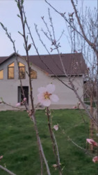 Продаэться будинок с.Бабурка. фото 2 Продаэться будинок с.Бабурка. фото 2