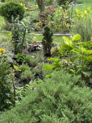 Продаж частини котеджу по вул. Турбинній у Запоріжжі! фото 3 Продаж частини котеджу по вул. Турбинній у Запоріжжі! фото 3