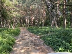 Продається будинок Запорізька, Запоріжжя, Дніпровський, Мурманская ул. фото 10 Продається будинок Запорізька, Запоріжжя, Дніпровський, Мурманская ул. фото 10