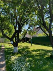 Дачний будинок. Відмінна локація. 100 метрів до Дніпра фото 6 Дачний будинок. Відмінна локація. 100 метрів до Дніпра фото 6