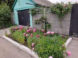 Продаж будинку, Запоріжжя-Ліве фото 4 Продаж будинку, Запоріжжя-Ліве фото 4