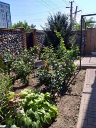 Великий будинок для життя чи під комерцію фото 10 Великий будинок для життя чи під комерцію фото 10