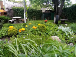 ��������� ������� � �������! ���� 2