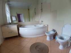 ��������� �� ������ ������� ������� � ������ �������� ͳ��� ������� ���� 11