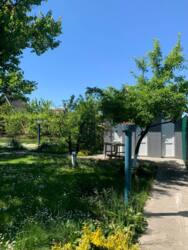 Дачний будинок. Відмінна локація. 100 метрів до Дніпра фото 10 Дачний будинок. Відмінна локація. 100 метрів до Дніпра фото 10