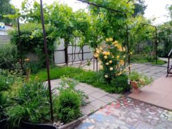 Затишний будинок на вулиці Клубна! фото 1 Затишний будинок на вулиці Клубна! фото 1