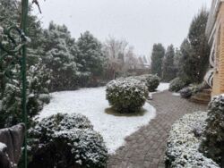 Будинок в районі Ренесансу фото 5 Будинок в районі Ренесансу фото 5