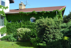 ��������� �� ������ ������� ������� � ������ �������� ͳ��� ������� ���� 17