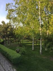 Затишний будинок в Нижній Хортиці фото 3 Затишний будинок в Нижній Хортиці фото 3