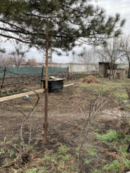 Продаж 3-кмн будинку, Кічкас фото 14 Продаж 3-кмн будинку, Кічкас фото 14