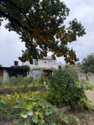 ������ ������� - ���� � �������! ���� 3