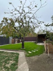 ��������� ������� ����������, ��������, ���������, ������������� ���� 8