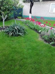 Продається будинок Запорізька, Запоріжжя, Шевченківський фото 2 Продається будинок Запорізька, Запоріжжя, Шевченківський фото 2