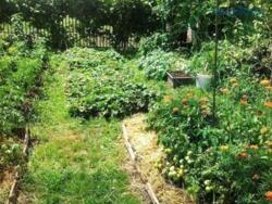 Продається будинок Запорізька, Запоріжжя, Заводський, Подпорожнянка / Новая ул. фото 13 Продається будинок Запорізька, Запоріжжя, Заводський, Подпорожнянка / Новая ул. фото 13