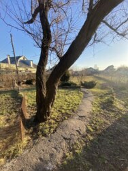 ������ ������� �� ���.������������� ���� 15