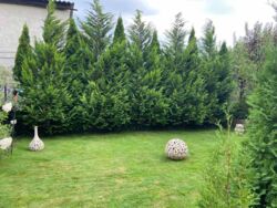 Продається будинок Запорізька, Запоріжжя, Хортицький, Солов'їний гай фото 2 Продається будинок Запорізька, Запоріжжя, Хортицький, Солов'їний гай фото 2