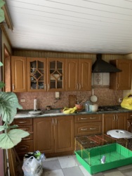 ������� �� ʳ���� ���� 31