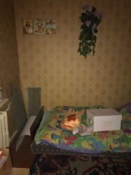 Продаж будинку, Олександрівський район фото 5 Продаж будинку, Олександрівський район фото 5