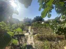 Затишний двоповерховий будинок у Запоріжжі, Дніпровський район! фото 11 Затишний двоповерховий будинок у Запоріжжі, Дніпровський район! фото 11