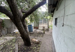 ��������� ������� ��������, ���������, ������������� ���� 19