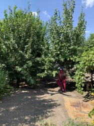 Частина будинку на Космосі (по вулиці Таманська) фото 11 Частина будинку на Космосі (по вулиці Таманська) фото 11