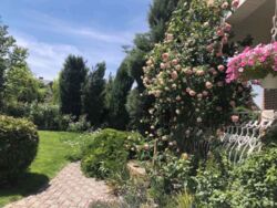 Будинок в районі Ренесансу фото 2 Будинок в районі Ренесансу фото 2