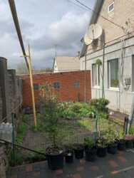 Затишний будинок на Зеленому Яру фото 3 Затишний будинок на Зеленому Яру фото 3