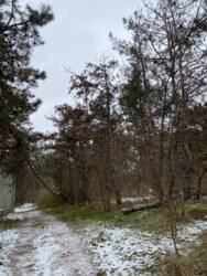 Добротний будинок на березі Льовшинської затоки фото 3 Добротний будинок на березі Льовшинської затоки фото 3