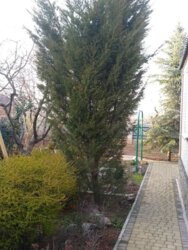 Продається сучасний будинок у Запоріжжі, Дніпровський район, на вулиці Зоряна! фото 9 Продається сучасний будинок у Запоріжжі, Дніпровський район, на вулиці Зоряна! фото 9