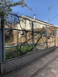 ������� �� ʳ���� ���� 46