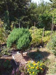 Великий будинок для життя чи під комерцію фото 14 Великий будинок для життя чи під комерцію фото 14