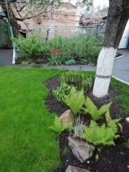 Продається будинок Запорізька, Запоріжжя, Шевченківський фото 3 Продається будинок Запорізька, Запоріжжя, Шевченківський фото 3