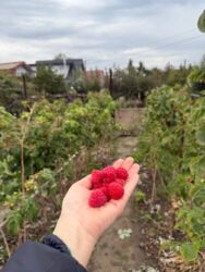 ������ ������� - ���� � �������! ���� 5