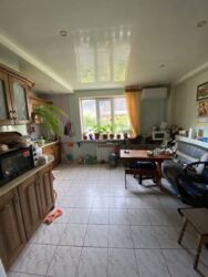 Продається будинок Запорізька, Запоріжжя, Заводський, Хрустальный пер. фото 7 Продається будинок Запорізька, Запоріжжя, Заводський, Хрустальный пер. фото 7