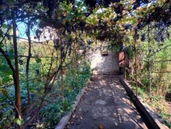 Продаж будинку в Заводському районi фото 1 Продаж будинку в Заводському районi фото 1