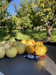 Продається будинок Запорізька, Запоріжжя фото 12 Продається будинок Запорізька, Запоріжжя фото 12