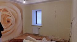 Продається будинок Запорізька, Запоріжжя, Комунарський, Культурная ул., 88 фото 5 Продається будинок Запорізька, Запоріжжя, Комунарський, Культурная ул., 88 фото 5